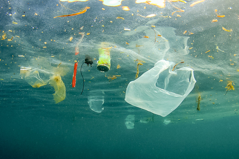 プラスチックで汚染された海