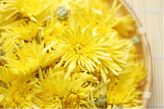 食用菊で一般的に販売されているのは、黄色い花の阿房宮です。日常の食事に取り入れて欲しい食材のひとつです。
