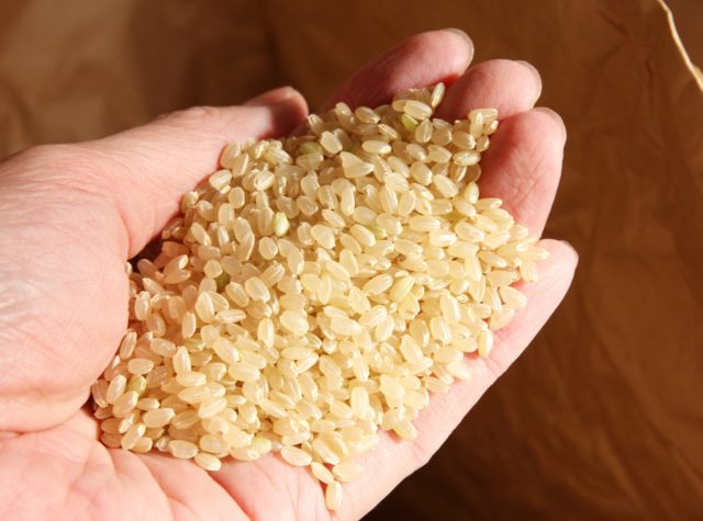 シンプルで簡単な、手作り玄米乳酸菌水の作り方をご紹介します。