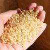 シンプルで簡単な、手作り玄米乳酸菌水の作り方をご紹介します。